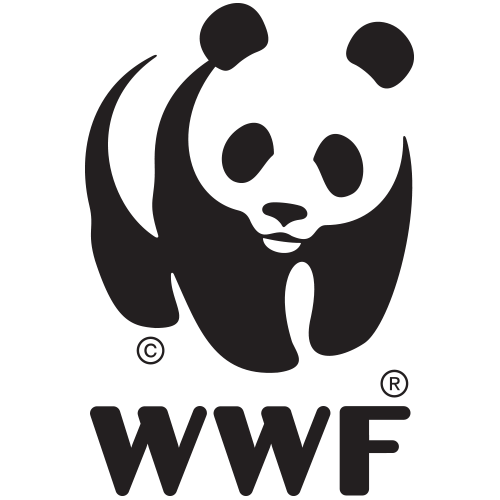 Wwf Foundation